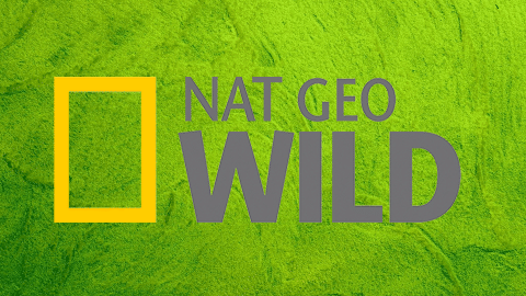 Nat Geo WILD HD